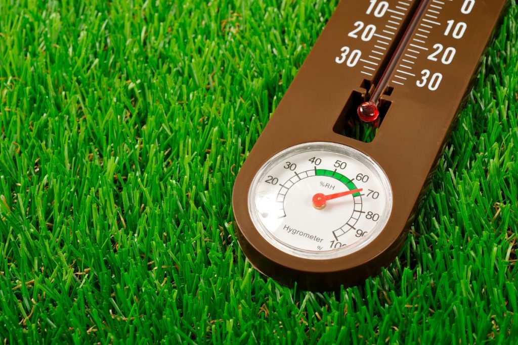 Humidity hygrometer on green grass houseplants
