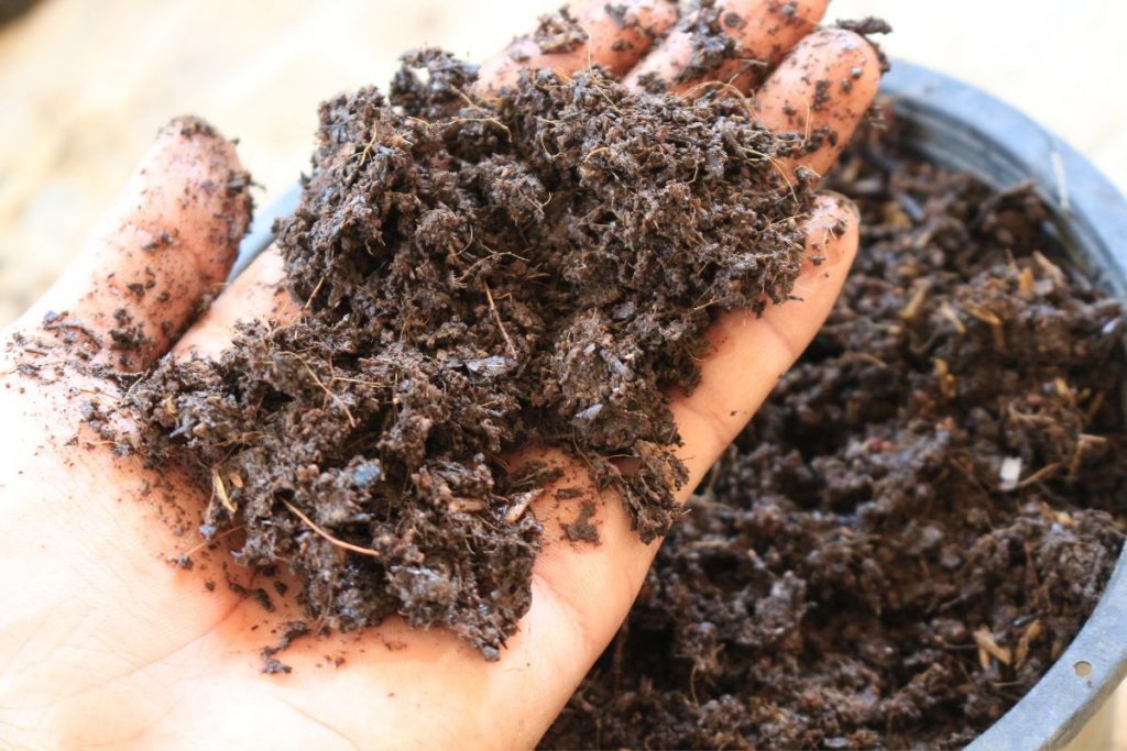 Soil And Fertilizer for houseplants