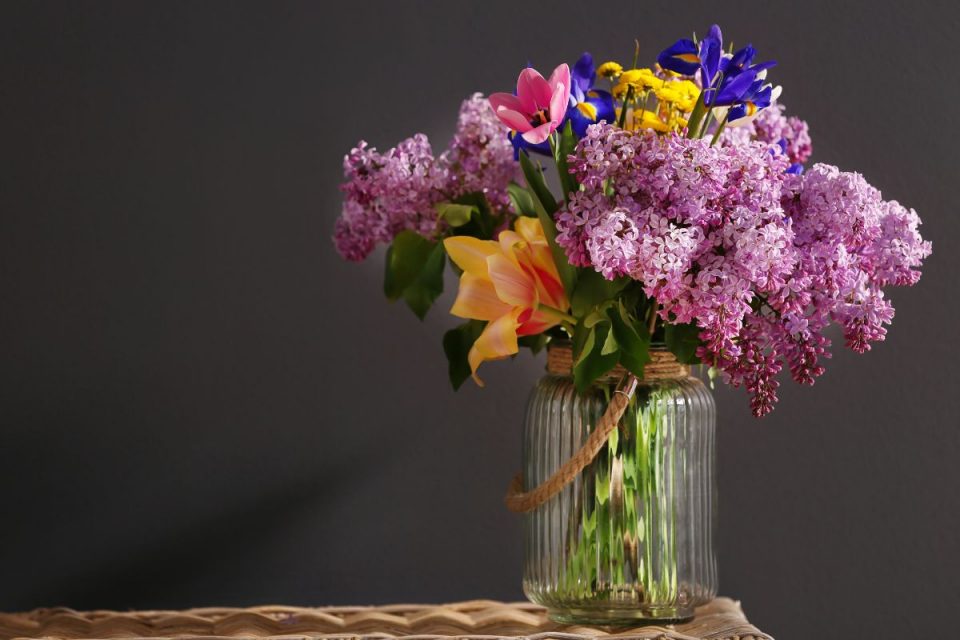 How Long Can Flowers Go Without Water Tips And Tricks Plantisima