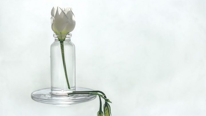 How Long Can Flowers Go Without Water: Tips And Tricks