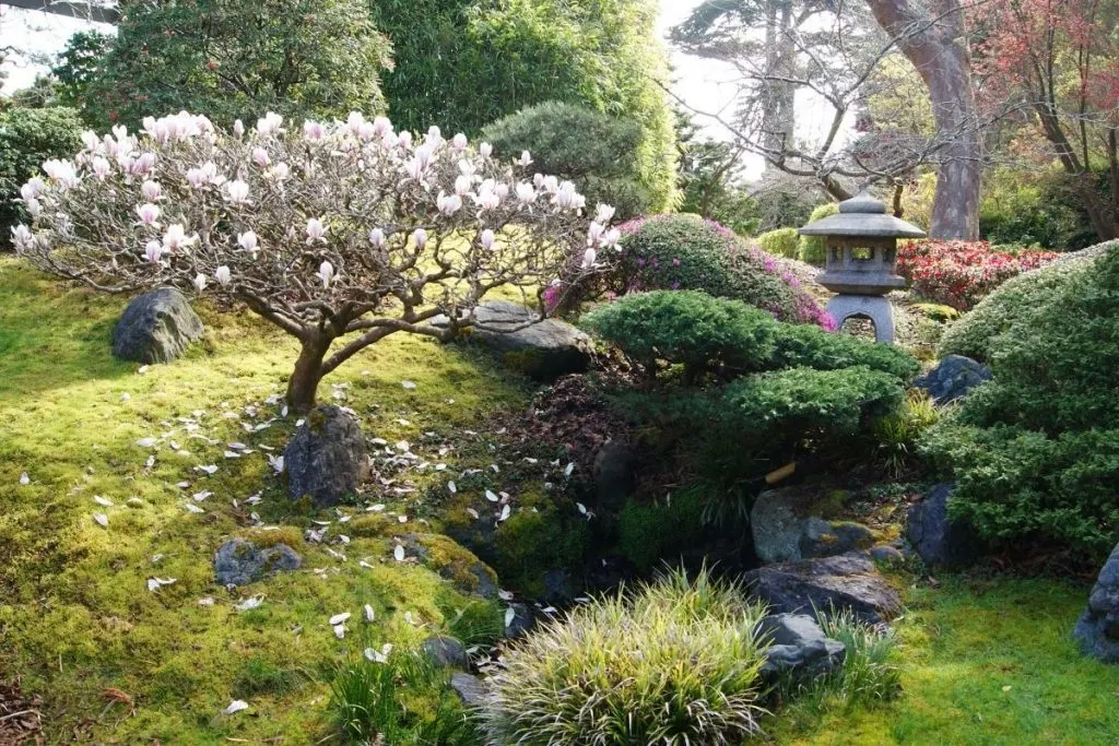 Japanese-Gardens-Unique-Style-With-Japanese-Plants