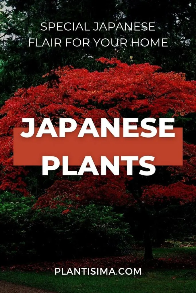 Japanese Plants pin