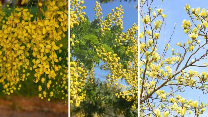 The Top 15 Yellow Flowering Trees and Shrubs to Brighten Your Garden