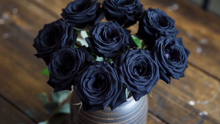 Unveiling the Meaning Behind the Mysterious Black Rose