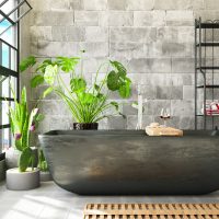 14-best-Bathroom-Plants-That-Absorb-Moisture
