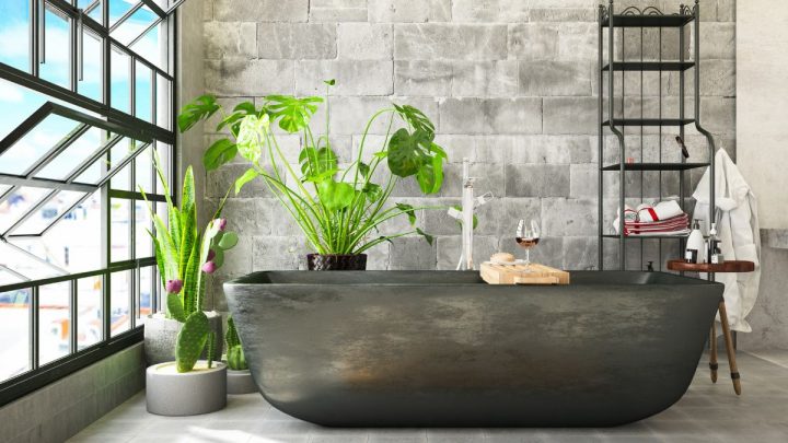14 Best Bathroom Plants That Absorb Moisture