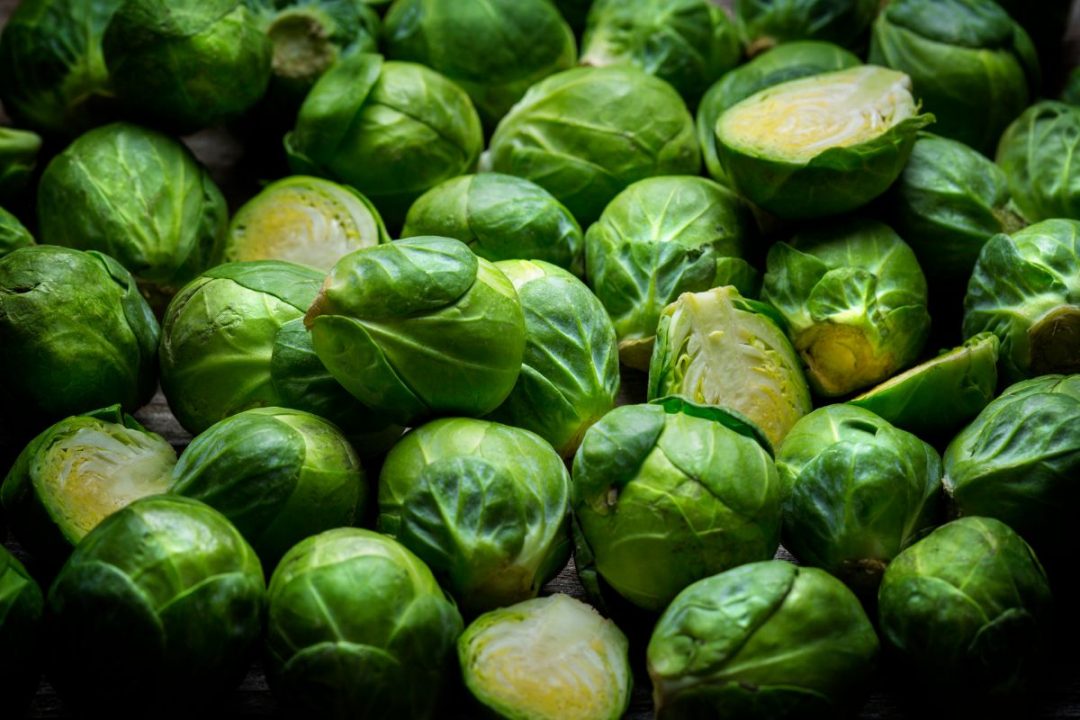 Black Spots On Brussel Sprouts Most Common Issues Plantisima