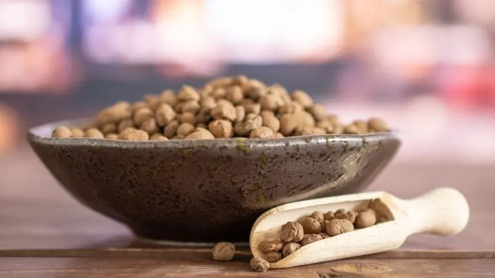 Why Every Plant Owner Needs Leca in Their Life (And How to Use It)