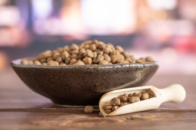 Leca-For-Plants_-Lightweight-Expanded-Clay-Aggregate