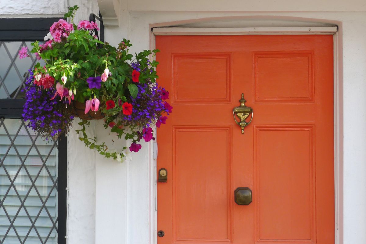 Hanging Basket Plants For Shade 5 Hanging Baskets Plants Plantisima