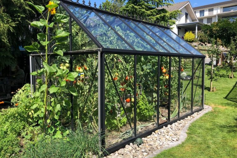 How To Keep Plants Warm In Winter 7 Ways For Plants To Survive Winter
