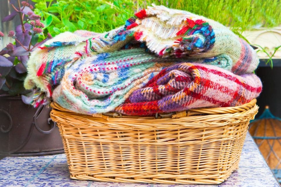 How To Keep Plants Warm In Winter 7 Ways For Plants To Survive Winter