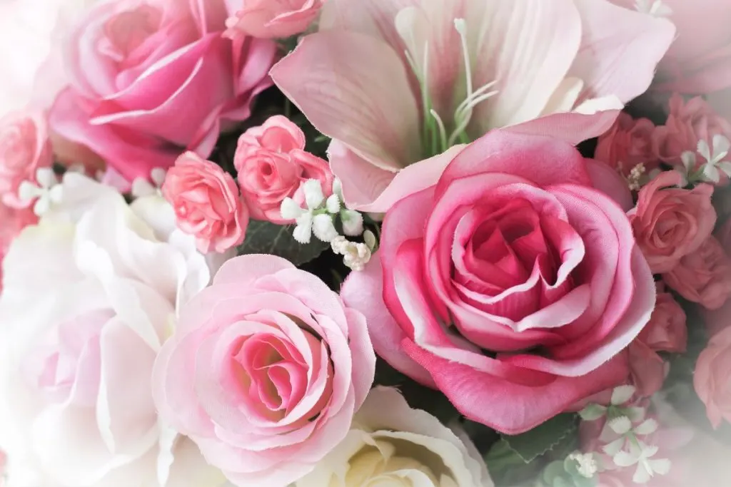 Meanings-Of-Pink-Roses-In-Different-Shades