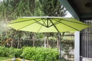 Plant Shade Umbrellas Classy Shade Plant Umbrella For Your Plants