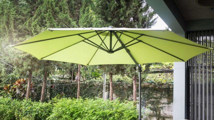 Plant Shade Umbrellas: Classy Shade Plant Umbrella For Your Plants