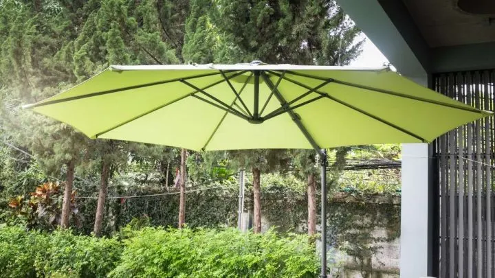 Plant Shade Umbrellas: Classy Shade Plant Umbrella For Your Plants
