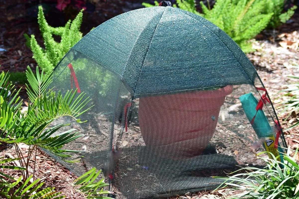 potted plant with shade cover, Plant Shade Umbrellas