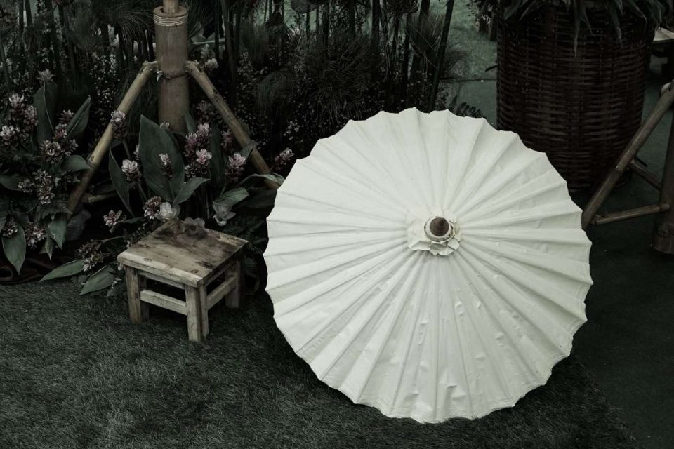 Plant Shade Umbrellas Classy Shade Plant Umbrella For Your Plants