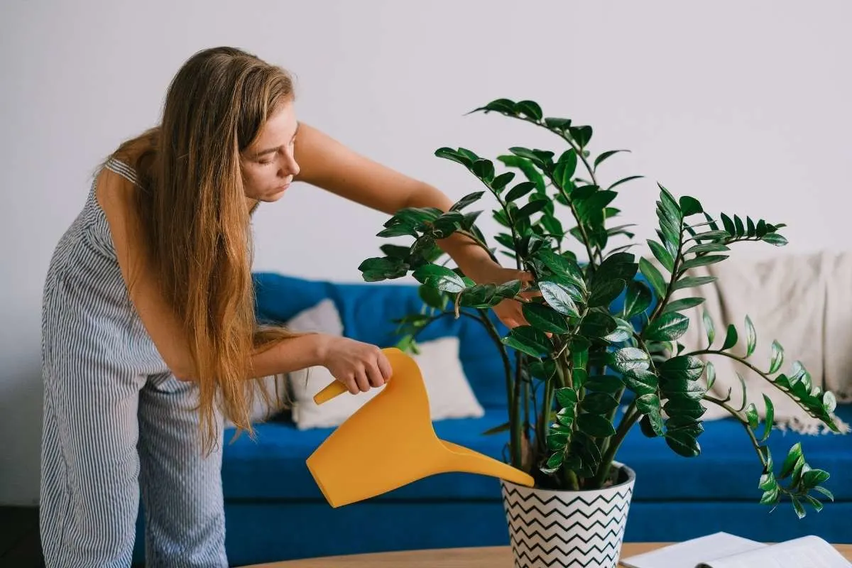 woman watering potted plant