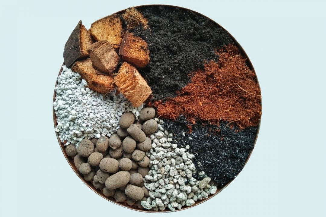 17 Simple Tricks How To Stop Ants Nesting In Plant Pots Plantisima