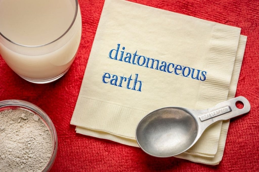8.-Apply-Diatomaceous-Earth-If-Finding-Ants-In-The-Pot
