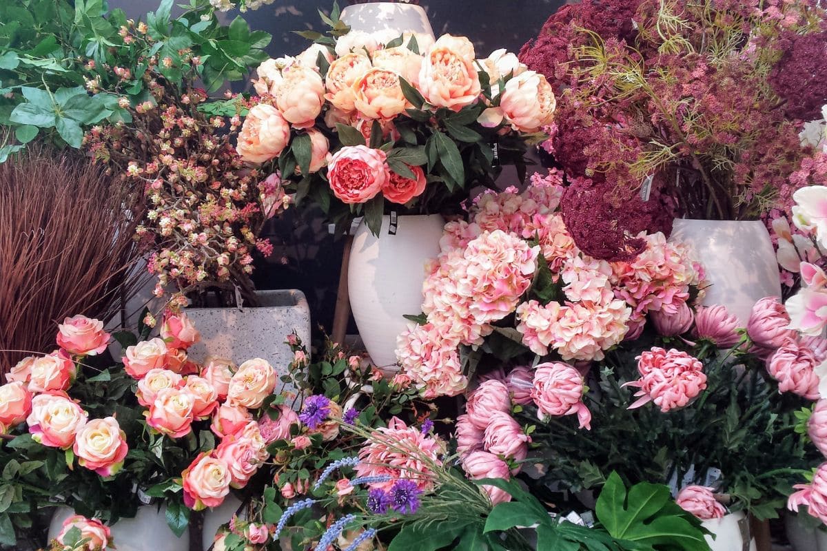 The Amazing Story Behind The National Flower Of Dominican Republic