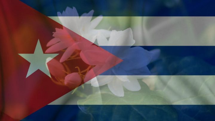 National Flower Of Cuba – Beautiful Butterfly Jasmine