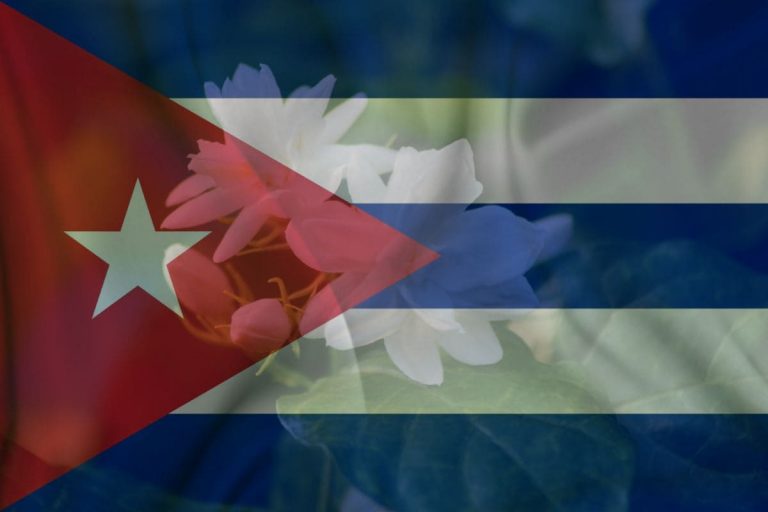 Butterfly Jasmine As A National Flower Of Cuba