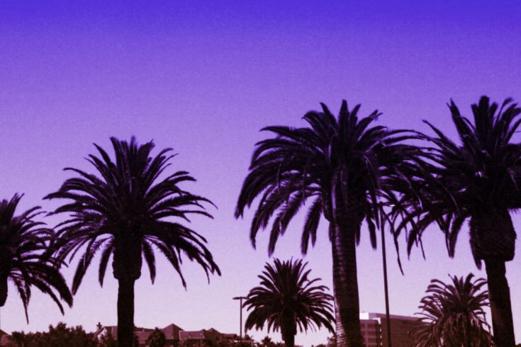 9 Sand Palm Types Of Palm Trees In California