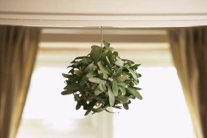 Learn-How-To-Hang-Plants-From-Ceiling-Without-Drilling