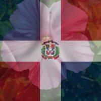 The-Story-Behind-The-National-Flower-Of-Dominican-Republic