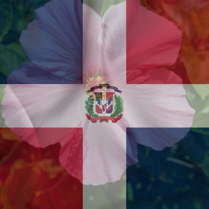 national flower of dominican republic Archives - Plantisima