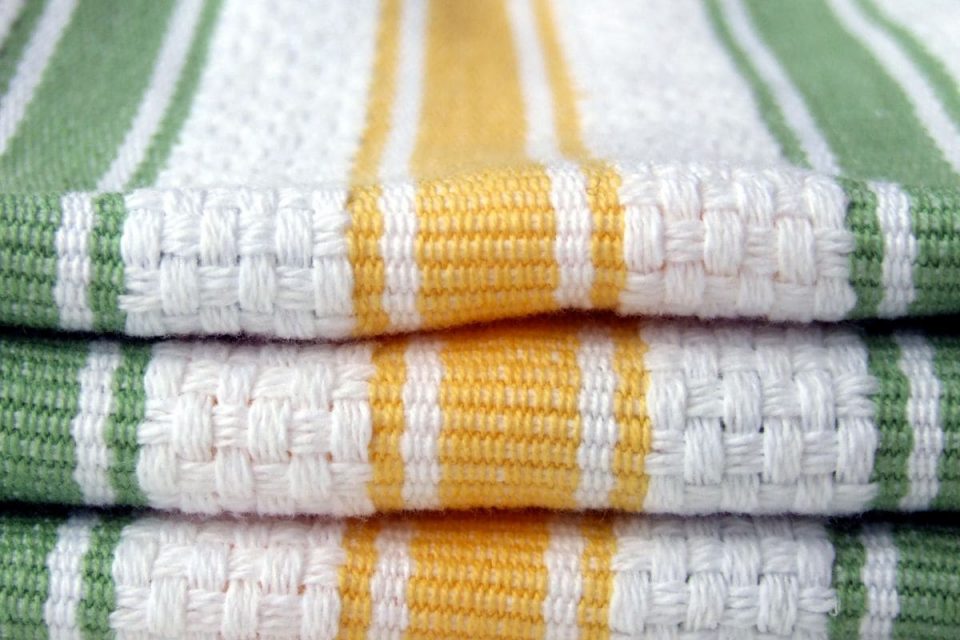 5 Ways On How To Flush Plants Without Overwatering Plantisima