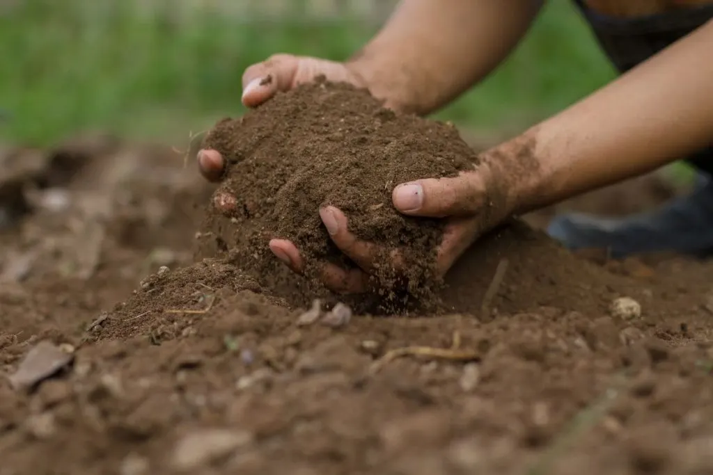 Your-Soil-Isnt-Waterlogged-Soil