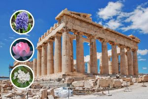 15 Flowers From Greek Mythology and Their Ancient Stories