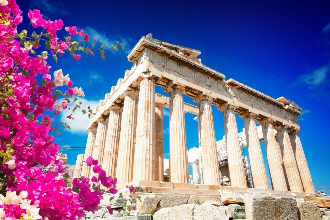 15 Flowers In Greek Mythology Floral Myths In Ancient Greece Plantisima