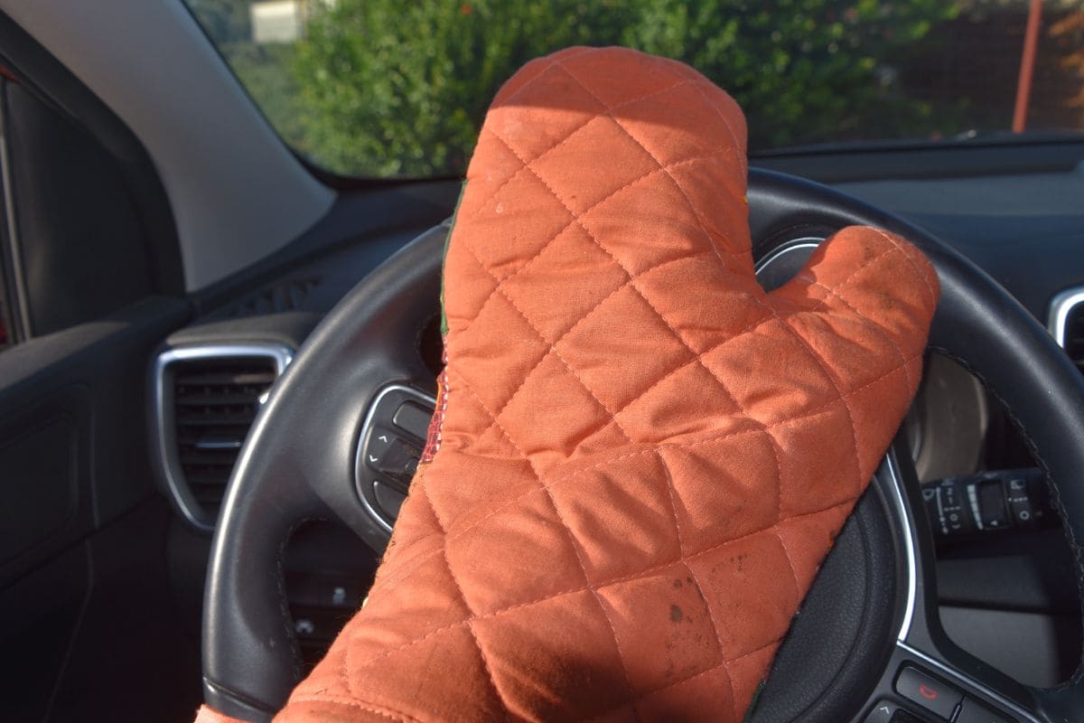 Find Out How Long Can Flowers Last In A Car Plantisima