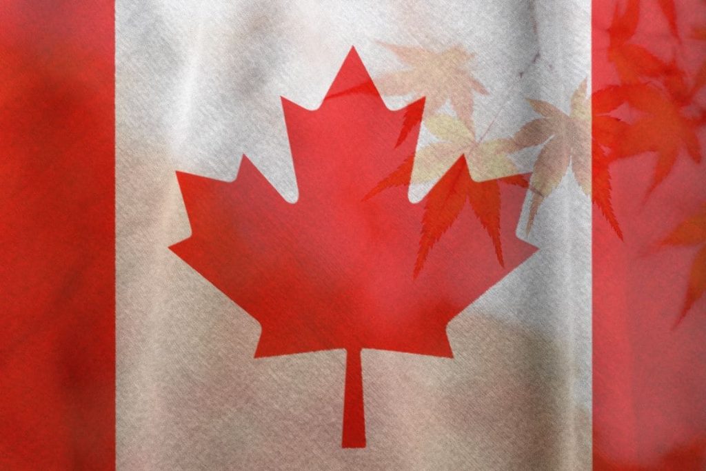 National Flower Of Canada: Provincial Flower Maple Leaf - Plantisima
