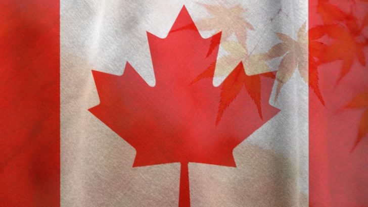National Flower Of Canada: Provincial Flower Maple Leaf