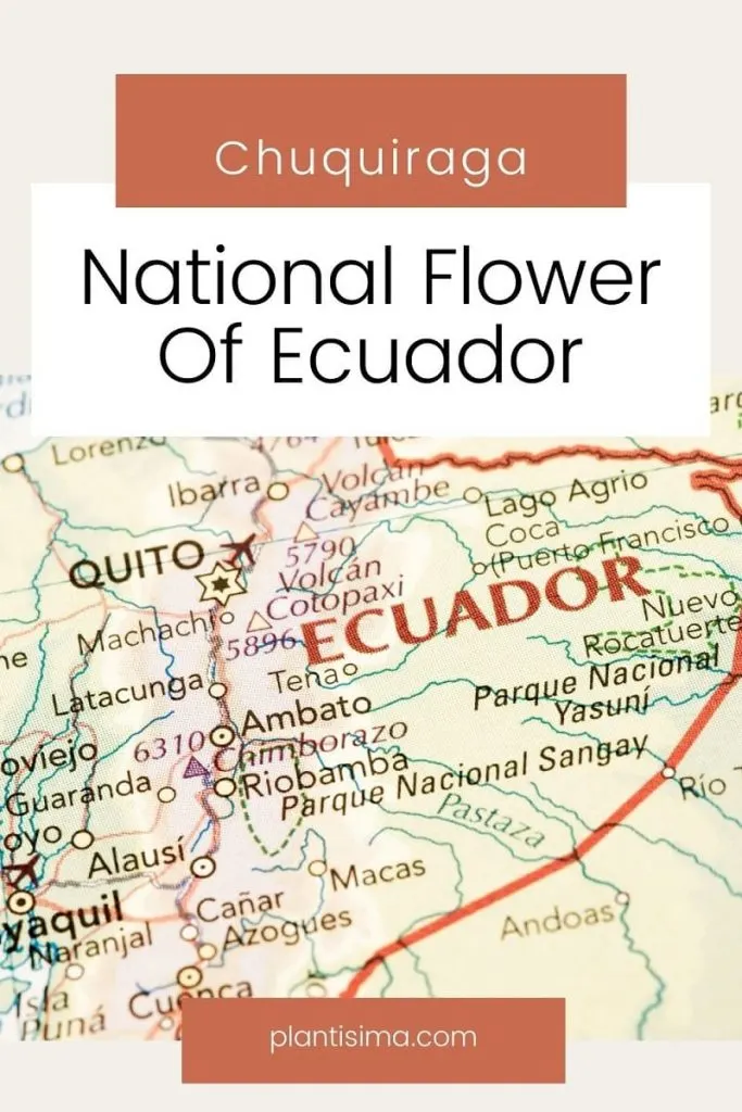 National Flower Of Ecuador pin