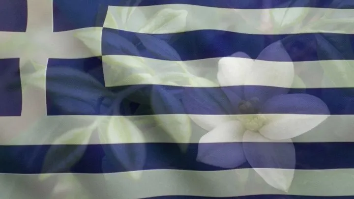 National Flower Of Greece: Wild Lands Of Laurel Flowers