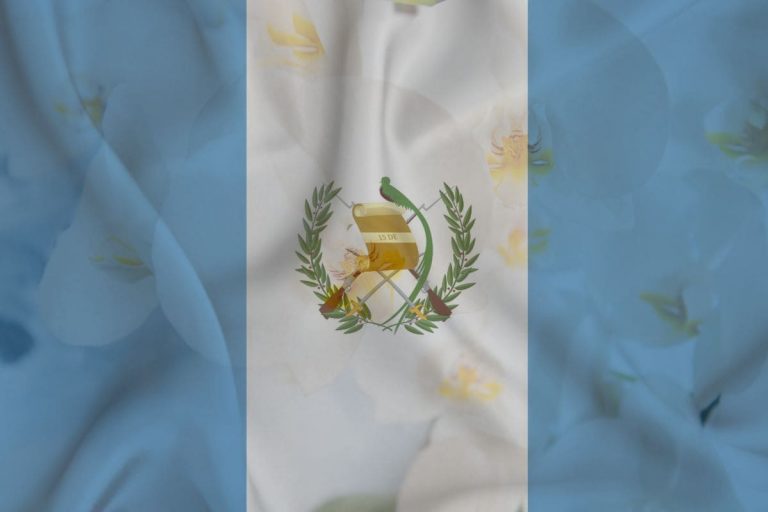 National Flower Of Guatemala