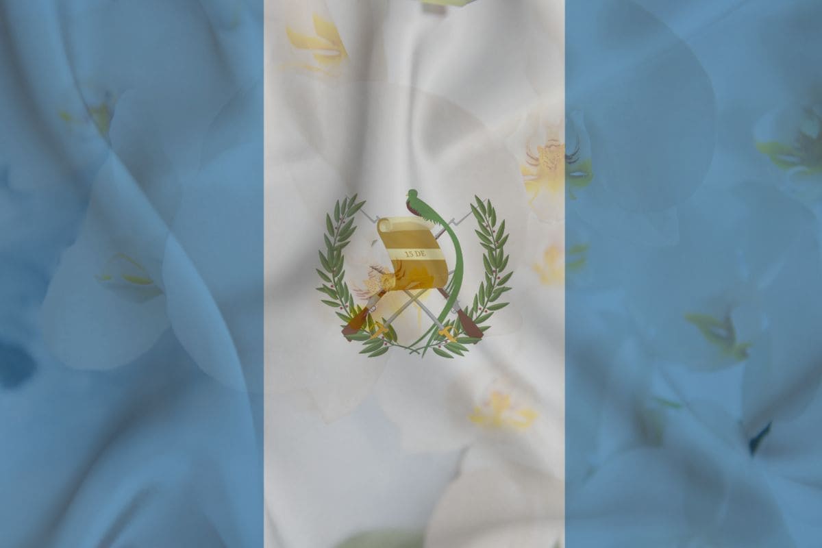 National Flower Of Guatemala: White Nun Orchid - Plantisima