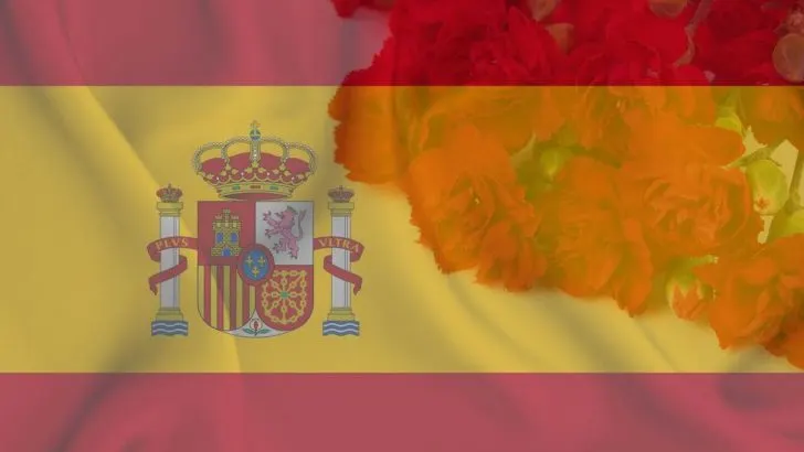 National Flower Of Spain: Hardy Red Carnation