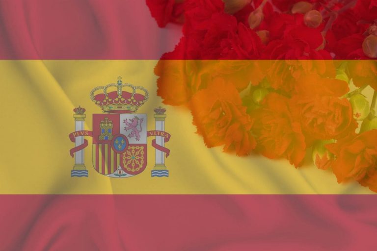 National Flower Of Spain_ Hardy Red Carnation