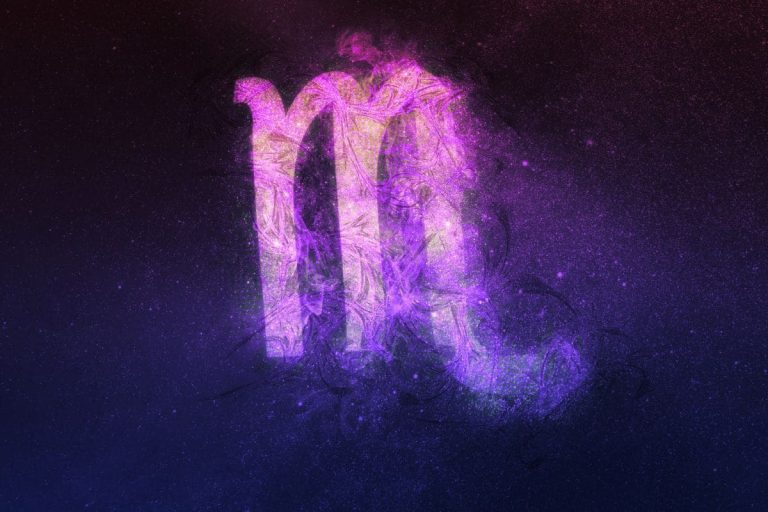 Flowers For Scorpio The Best 7 Scorpio Birth Flowers Plantisima