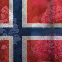 Specialty-Behind-The-National-Flower-of-Norway