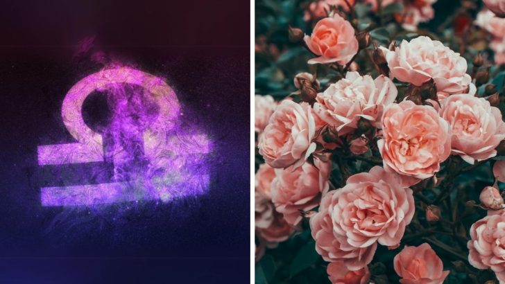 5 Flowers Every Libra Will Love