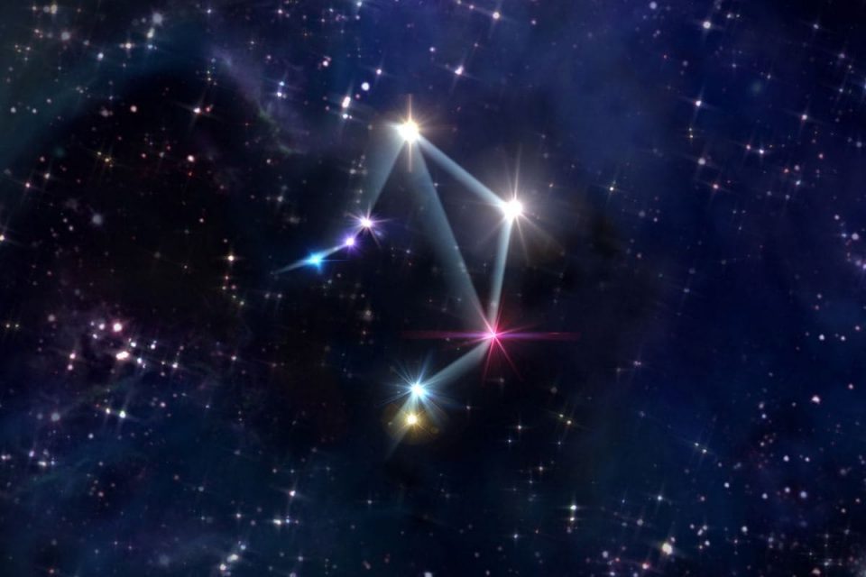 Flowers For Libra The Best 5 Libra Zodiac Sign Birth Flowers