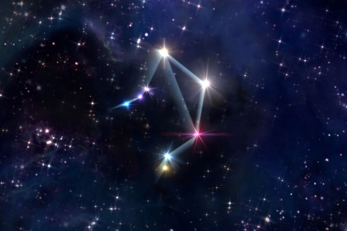 Flowers For Libra The Best 5 Libra Zodiac Sign Birth Flowers Plantisima